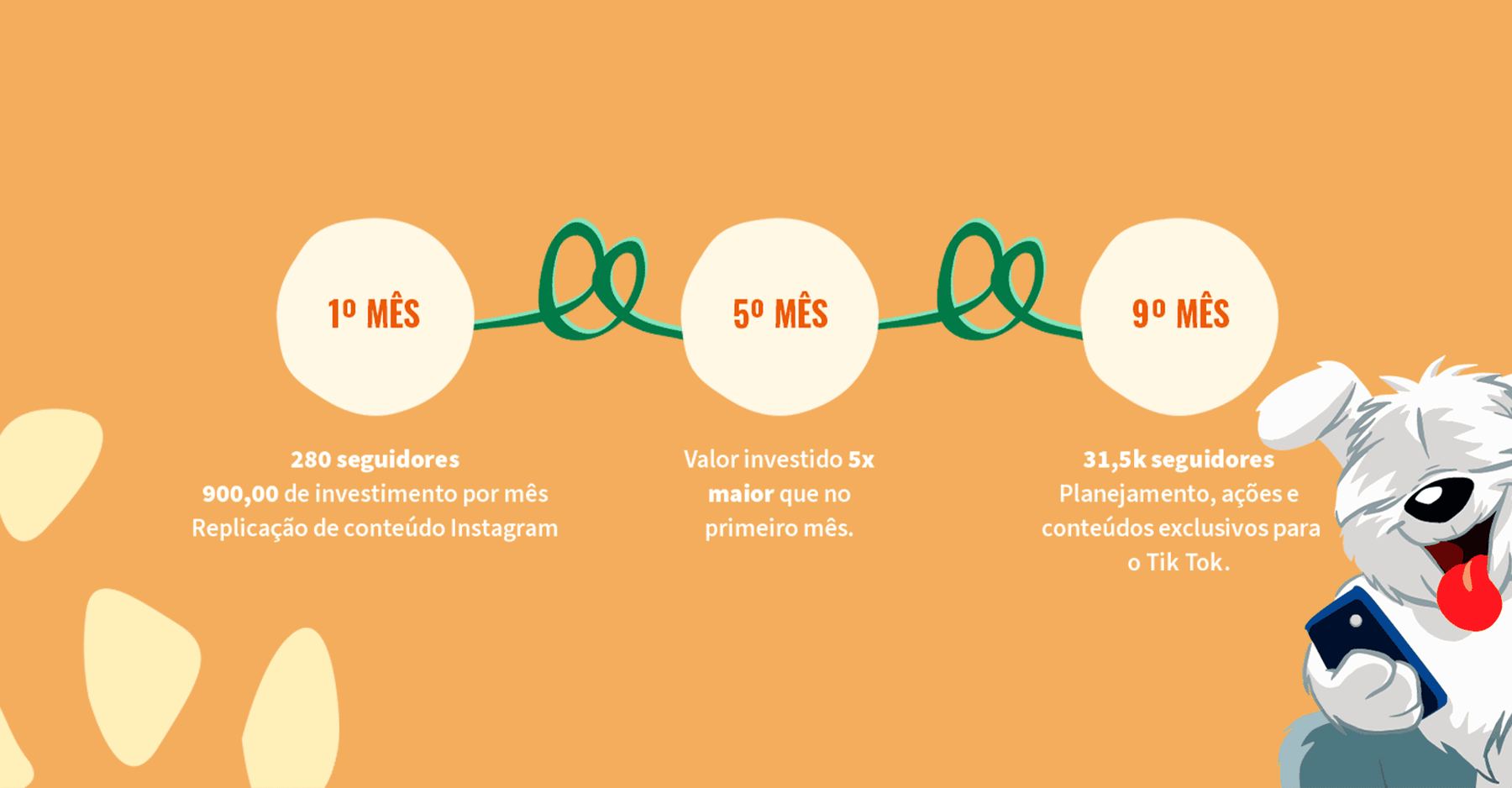 Linha do tempo laranja com a evolução da conta no 1º, 5º e 9º mês: de 280 para 31,5 mil seguidores.